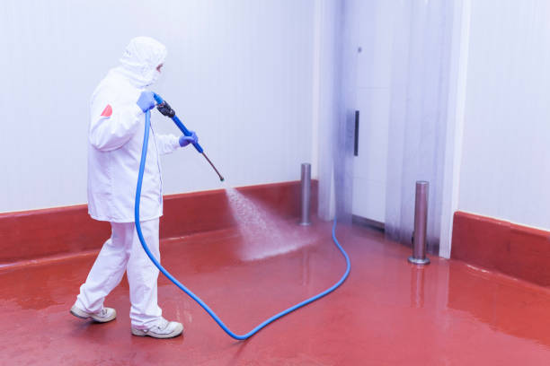 Best Warehouse Cleaning  in Watkinsville, GA
